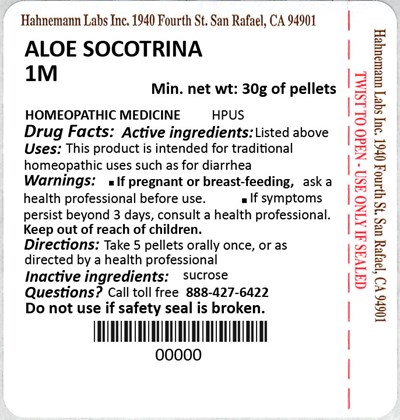 Aloe Socotrina 1m 30g (Aloe Socotrina 1m 30g)